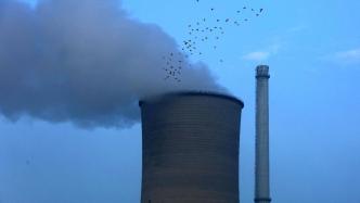 巴斯夫：供应商碳排占比近半，减碳亟需产业链协同和政策支持