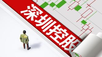 深圳控股前5个月销售额45.1亿元，完成年度销售目标的19.6%