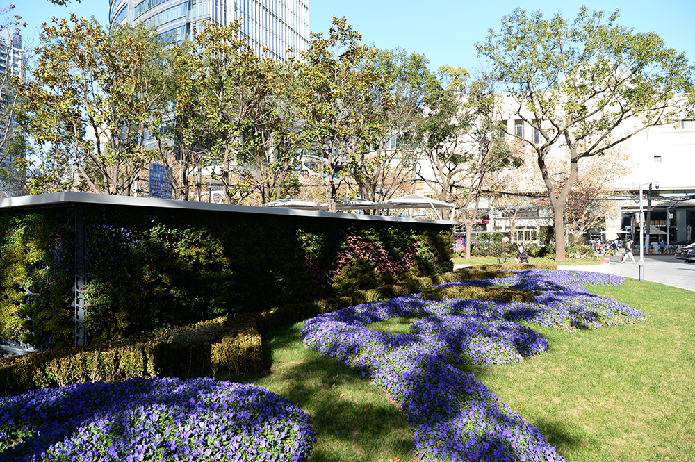 在街区里“见缝插绿”,上海静安这两座“口袋公园”各具特色