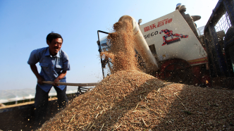 农业农村部：全国麦收进度过九成五