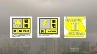 上海暴雨预警升级为黄色，全市防汛防台三级响应启动