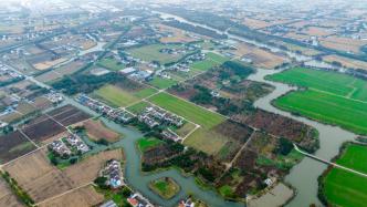 上海推進全域土地綜合整治，逐步建立實施機制和政策框架