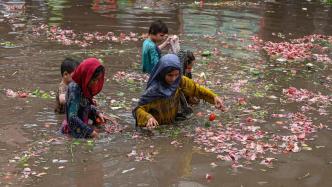 直击｜巴基斯坦雷暴天气致多人死亡，孩子在积水中捞拣蔬果