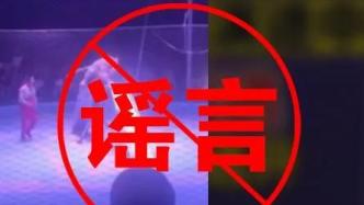 张北县辟谣“马戏团狮子跑出”：狮子冲击防护网引发观众恐慌