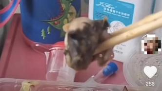重庆秀山中医医院食堂盒饭疑似吃出鼠头，市监局：确为老鼠头