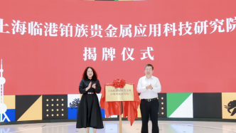 上海临港铂族贵金属应用科技研究院揭牌，建设国际性科创平台