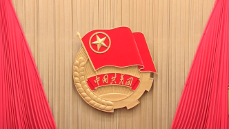团十九大关于《中国共产主义青年团章程（修正案）》的决议
