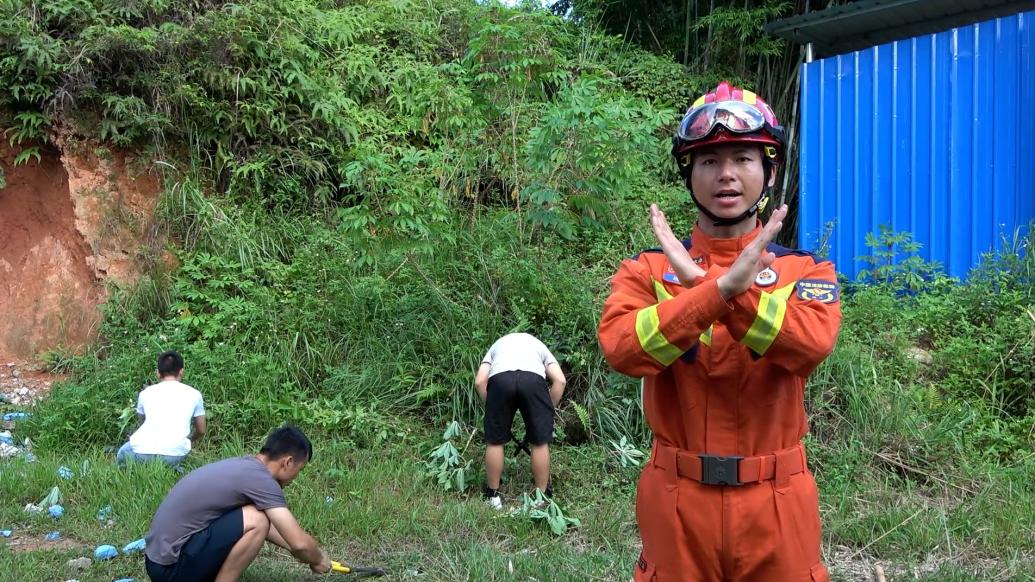 夏季氣溫升高蛇類頻繁出沒，消防：被追要跑出S形路線