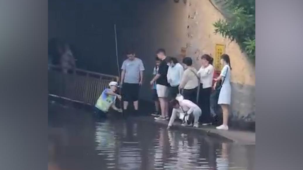 暴雨后行人被困洞口，交警站水中疏通