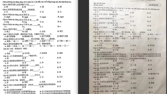 越南高考中文卷冲上热搜，华裔老师：较简单，学好中文工资高
