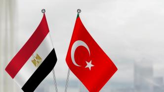 土耳其和埃及宣布两国外交关系升级