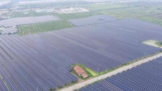 上海这个集中式地面光伏项目试运行，最高日发电量超70万度