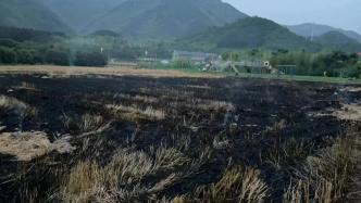 杭州一村民焚烧秸秆产生烟尘污染被罚：过火面积450平方米