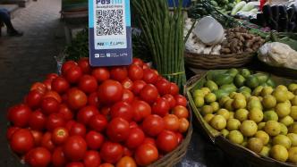 番茄涨价比汽油还贵？印度麦当劳宣布暂停在汉堡里加新鲜番茄