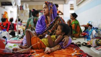 警惕蚊子！孟加拉国登革热病致死73例病例累计超1.2万例