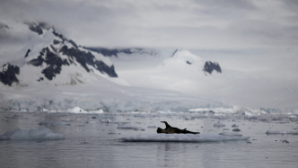 “前所未有”！世界气象组织：南极海冰面积创6月历史新低