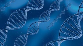《自然》：首次全基因组关联分析发现“长新冠”也有易感基因