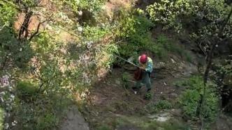 游客在黄山风景区随手扔垃圾，工作人员绑着安全绳下悬崖捡