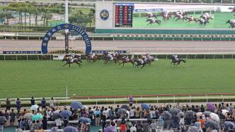 一个赛季创造多项纪录，香港推进粤港澳大湾区马产业发展