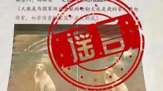 河南公布打击网络谣言典型案例：男子杜撰“天价寻狗”被处罚