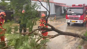 暴风骤雨过后，江门消防紧急清理倒塌树木