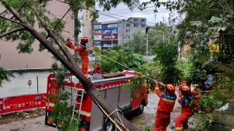 广西玉林多地受台风影响树木倾倒，消防紧急处置