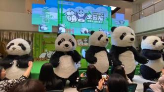 上海科技馆闭馆后首场大型外拓科普展开展，“萌兽大熊猫”亮相