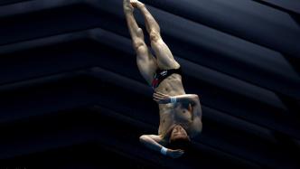 男子十米台丢金，中国跳水梦之队12金结束世锦赛征程