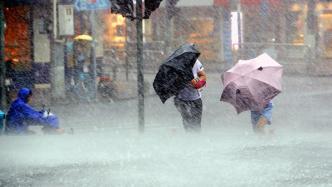 上海暴雨+雷电双黄预警高挂，全市启动防汛防台三级响应行动