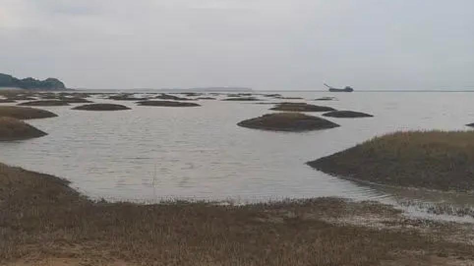 鄱阳湖水位跌破12米，系有记录以来同期最低