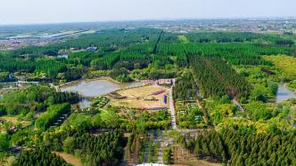 森林覆盖率达30.7%，上海崇明如何高标准推进世界级生态岛建设？