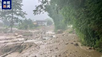 云南盈江“7·28”山洪泥石流灾害造成2人死亡，4人受轻伤