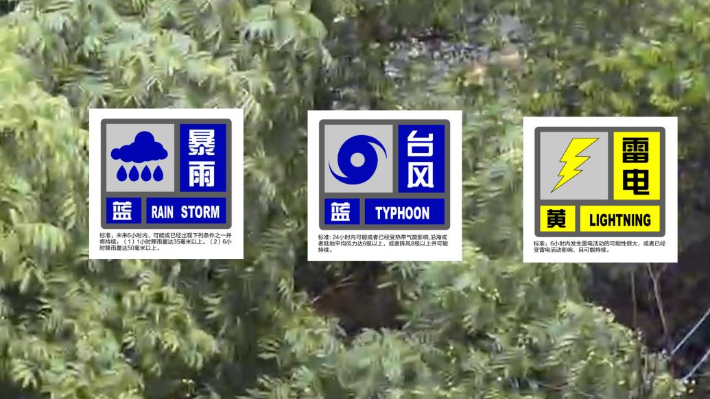 上海“雙藍一黃”預警高掛,“杜蘇芮”減弱為熱帶低壓