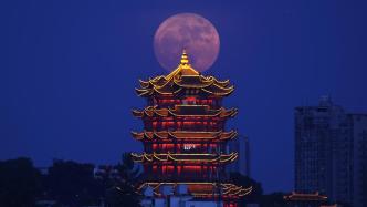 慢直播丨在武汉黄鹤楼赏超级月亮，今晚出片！