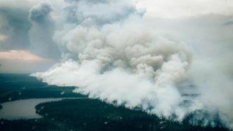 加拿大森林大火已成全球性环境事件，直接排放二氧化碳已超10亿吨
