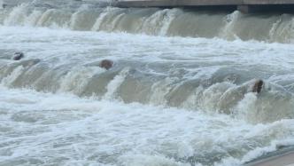 滹沱河献县泛区启用，河北13处国家蓄滞洪区已启用6处