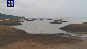 今年鄱阳湖水位明显偏低，刷新最早跌破12米枯水位纪录