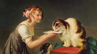 寻猫启示｜在18世纪，哲学家们纷纷开始思考“猫生”