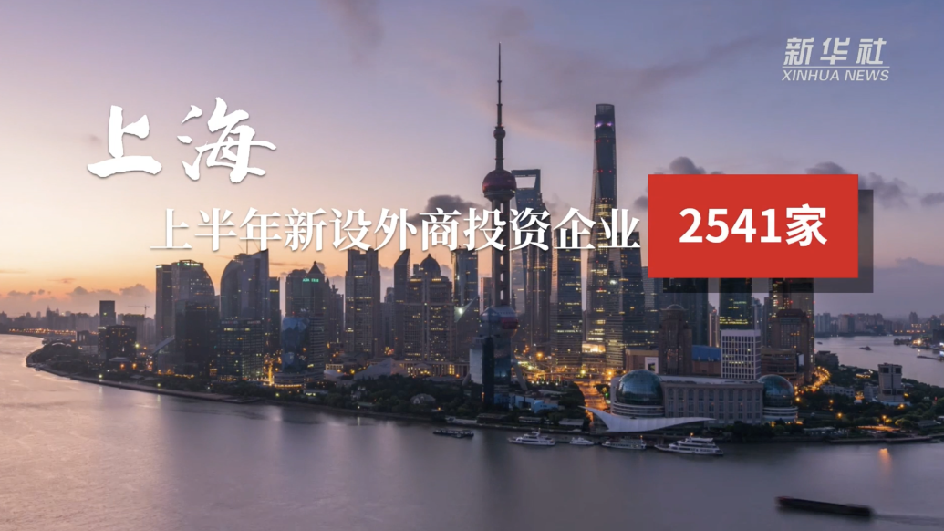 上海2023年上半年新设外商投资企业2541家