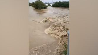 哈尔滨尚志遭遇洪水，村干部：没见过这么大的水，有农作物绝产