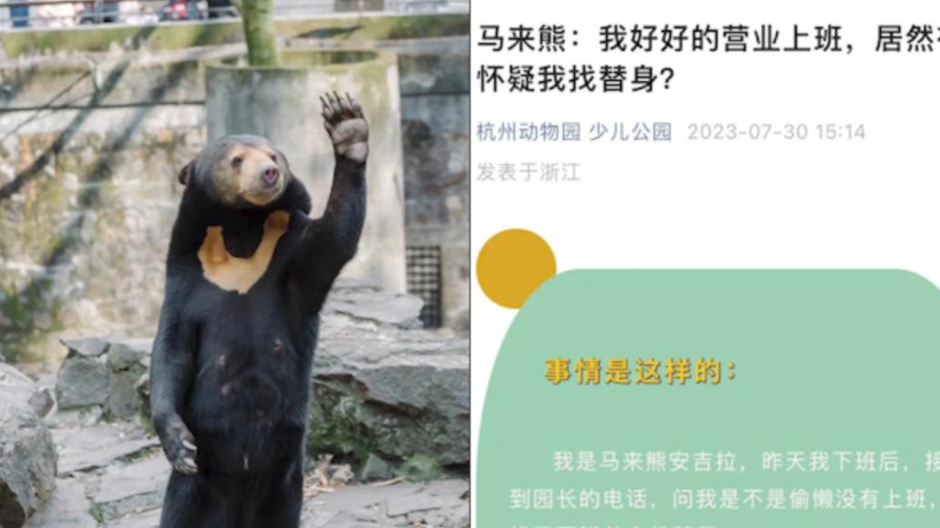 杭州動物園回應“熊被質疑是人假扮”：確實是熊，站起來可能是跟游客互動