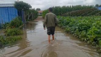 黑龙江五常遭遇洪水，村民：当时水深到腰，水稻受影响