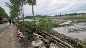 “单季水稻第一县”五常遭洪水重创：部分村屯被淹，大片稻田泡水