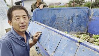 洪灾后2万斤葡萄烂在地里，舒兰农户：能救一点，是一点