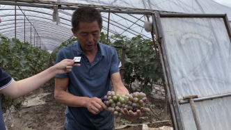 探访洪灾后的吉林舒兰，农户：先自救，努力保持乐观