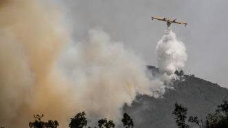 高温强风加持，葡萄牙南部山火已肆虐4天1400人被迫撤离
