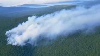 内蒙古大兴安岭林区发生森林火灾，正在紧张扑救