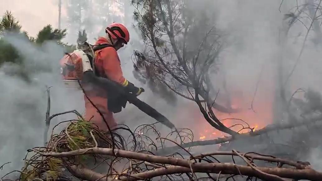大兴安岭林区森林火灾，350人分队紧张扑救中