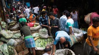 印度食品价格飙升，增加粮食储备成印度政府大选前关键策略