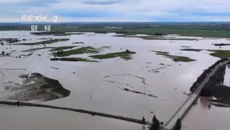 新华社记者实地探访五常农田：超100万亩水稻不同程度受灾